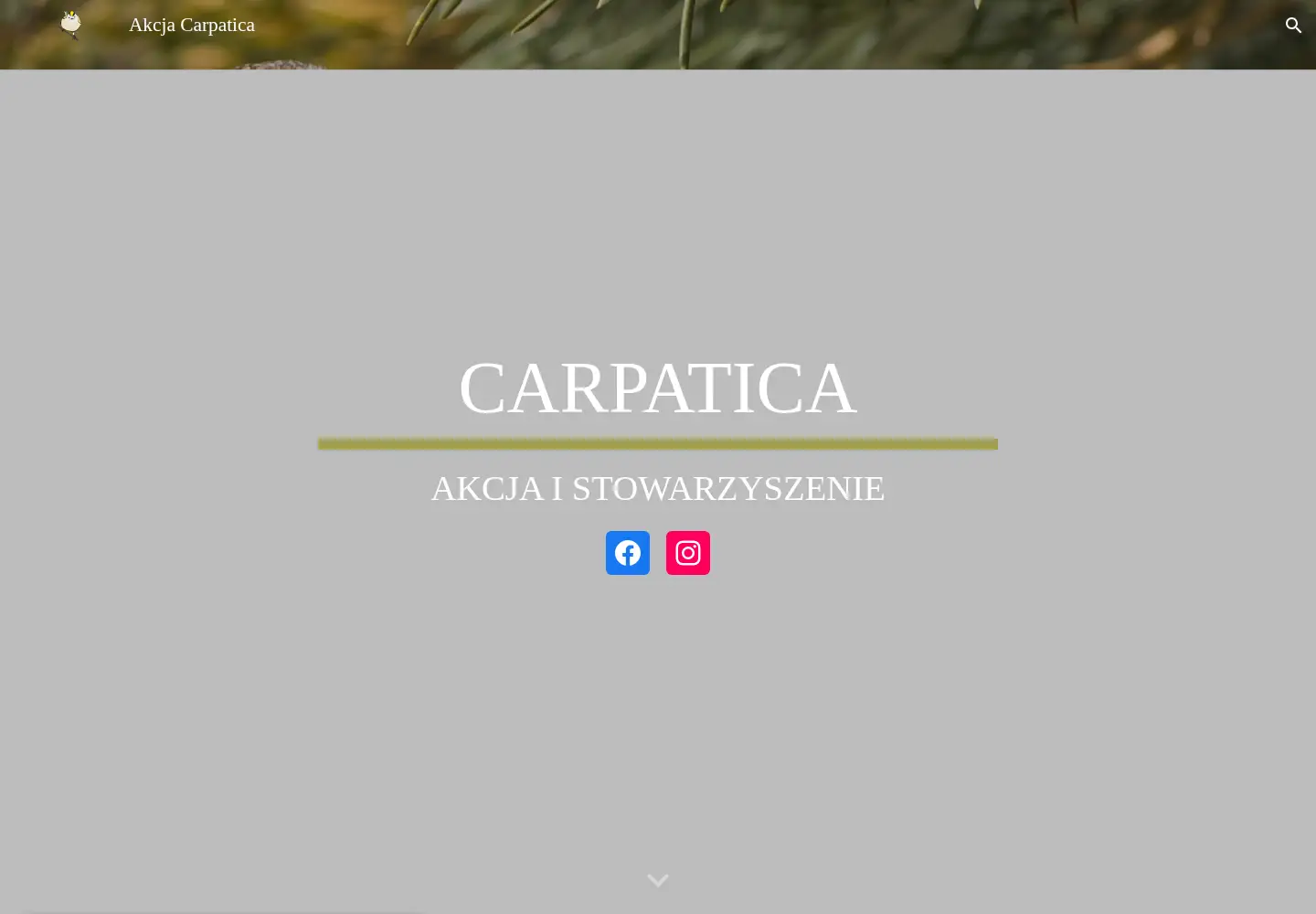 Screenshot of carpatica.org