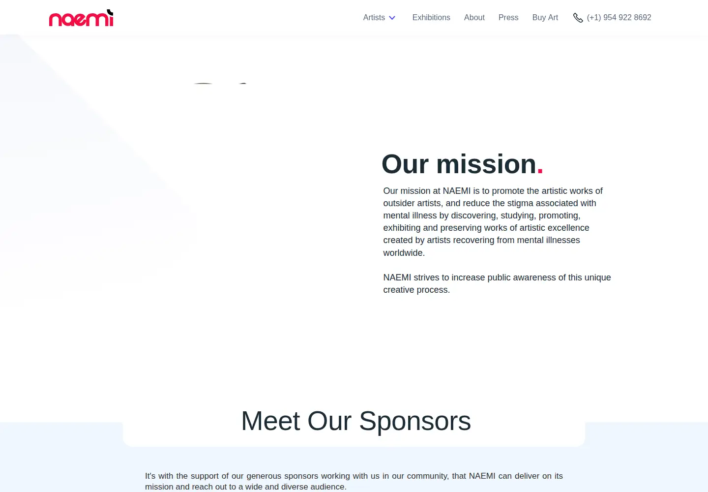Captured homepage of naemi.org in the current scan