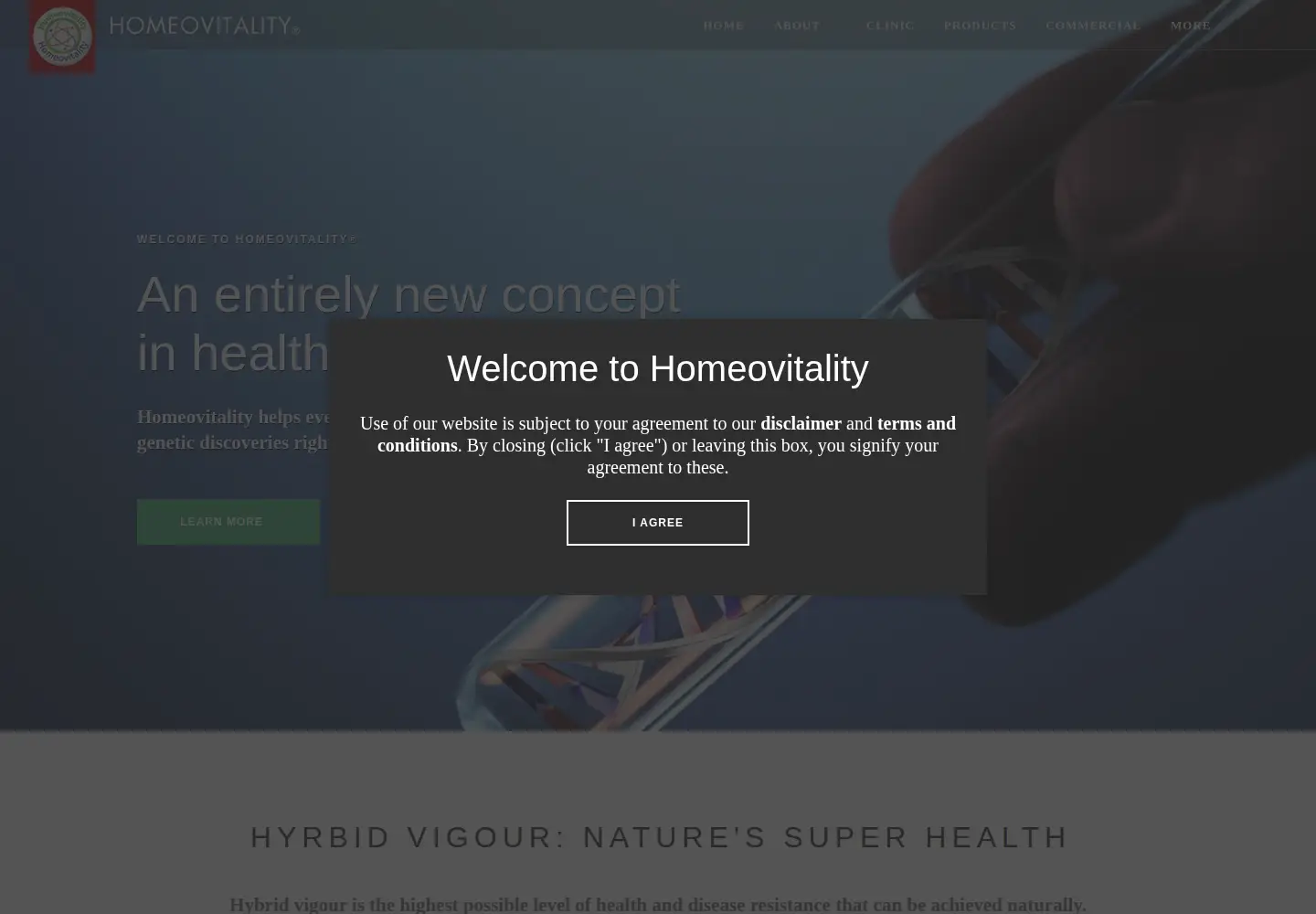 Captured homepage of homeovitality.com in the current scan
