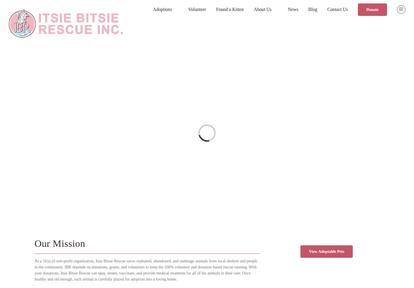 Captured homepage of itsiebitsierescue.org in the current scan