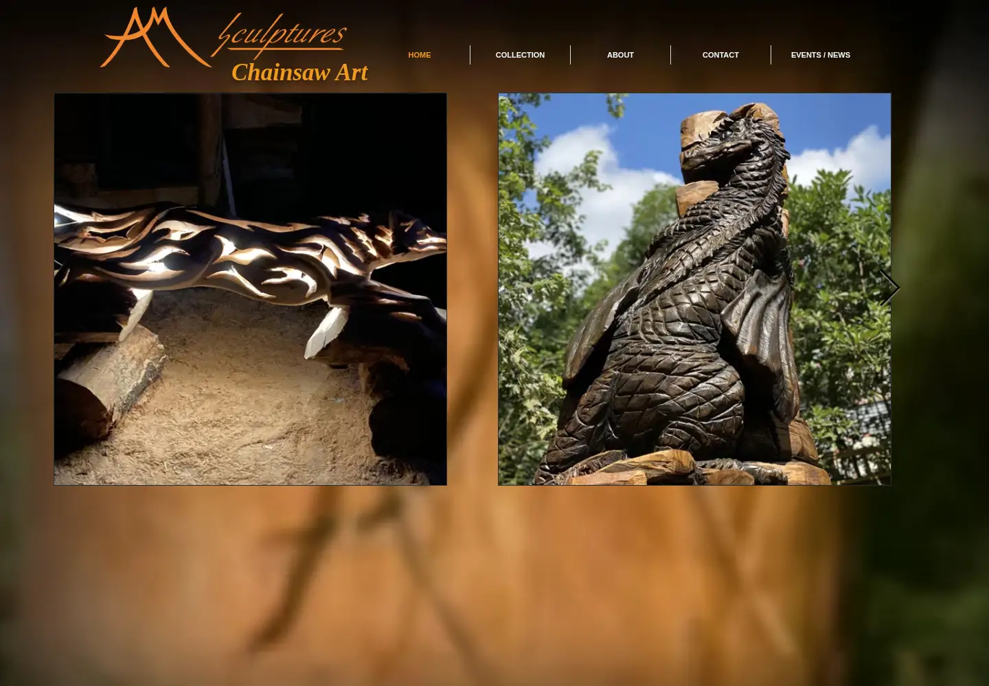 Captured homepage of amsculptures.com in the current scan