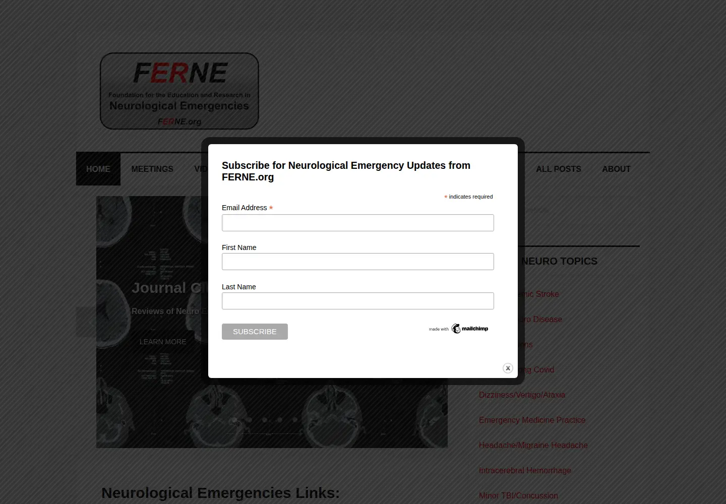 Captured homepage of ferne.org in the current scan