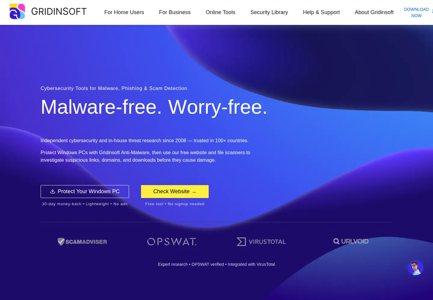 Screenshot of gridinsoft.com