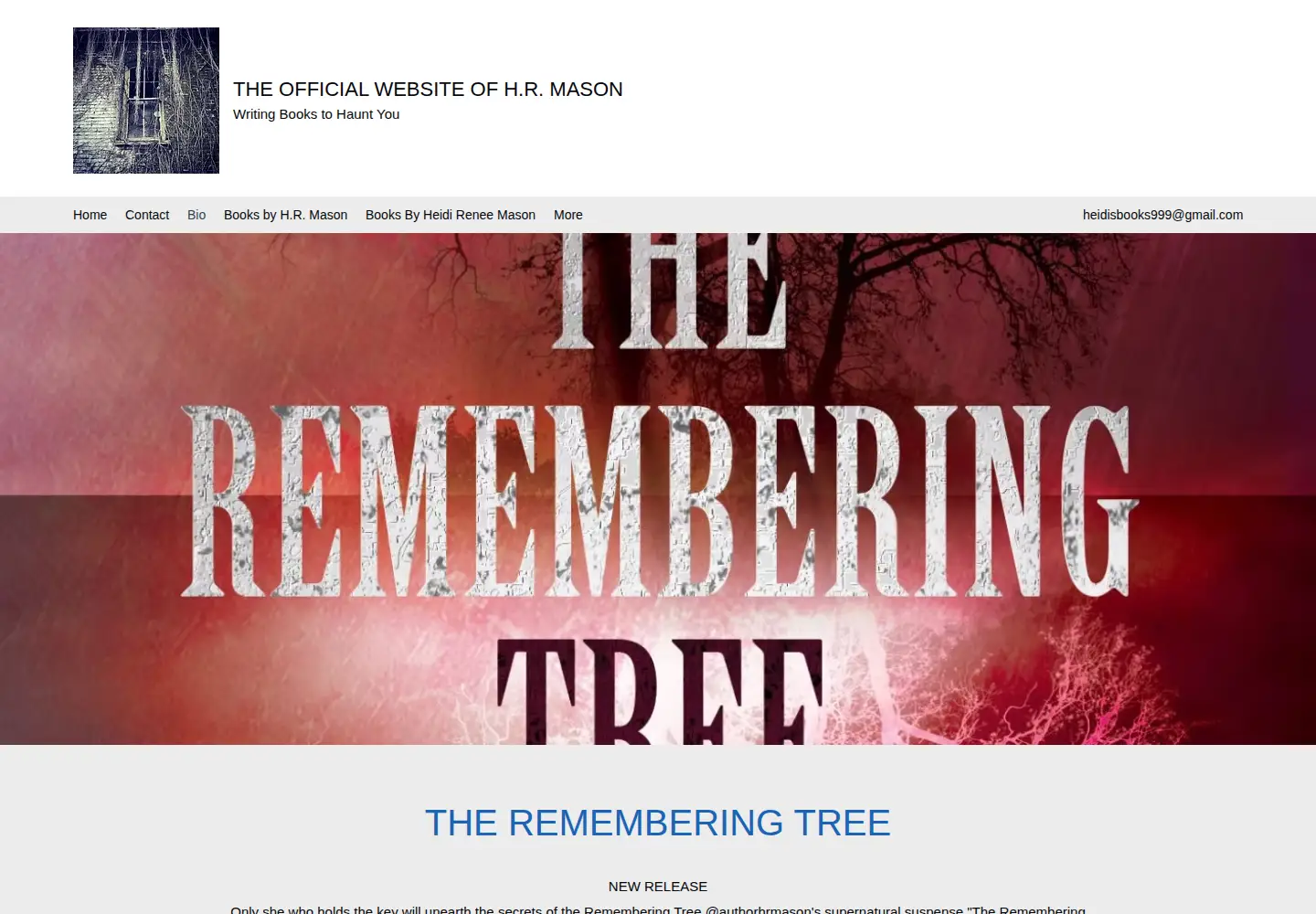 Screenshot of heidireneemason.com