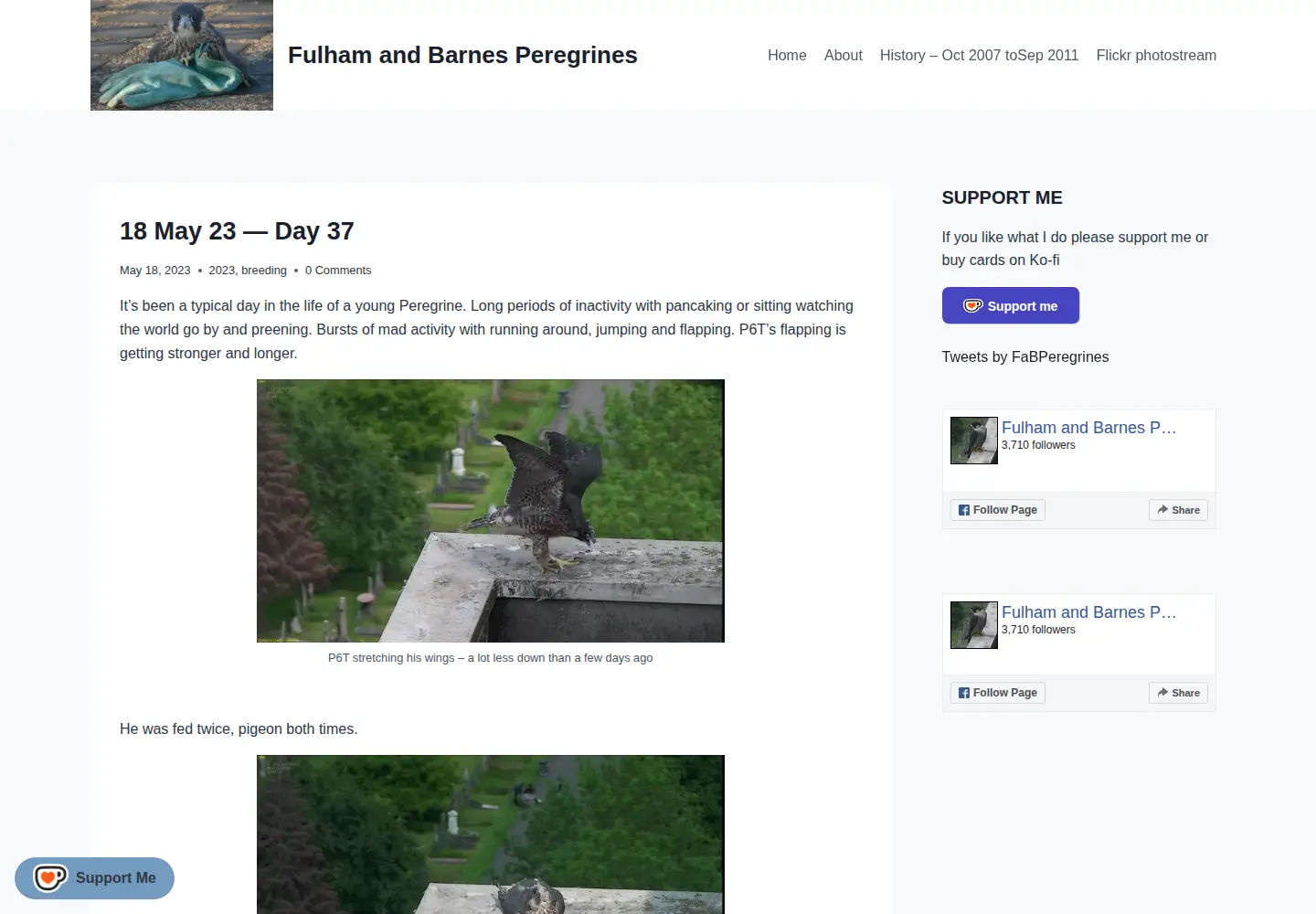 Screenshot of fabperegrines.org.uk