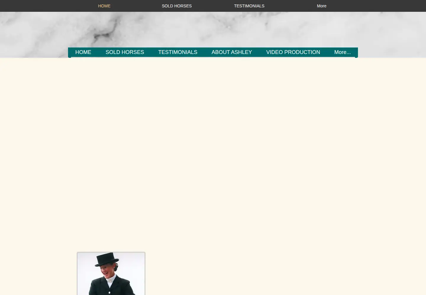 Captured homepage of ashleyhammilldressage.com in the current scan