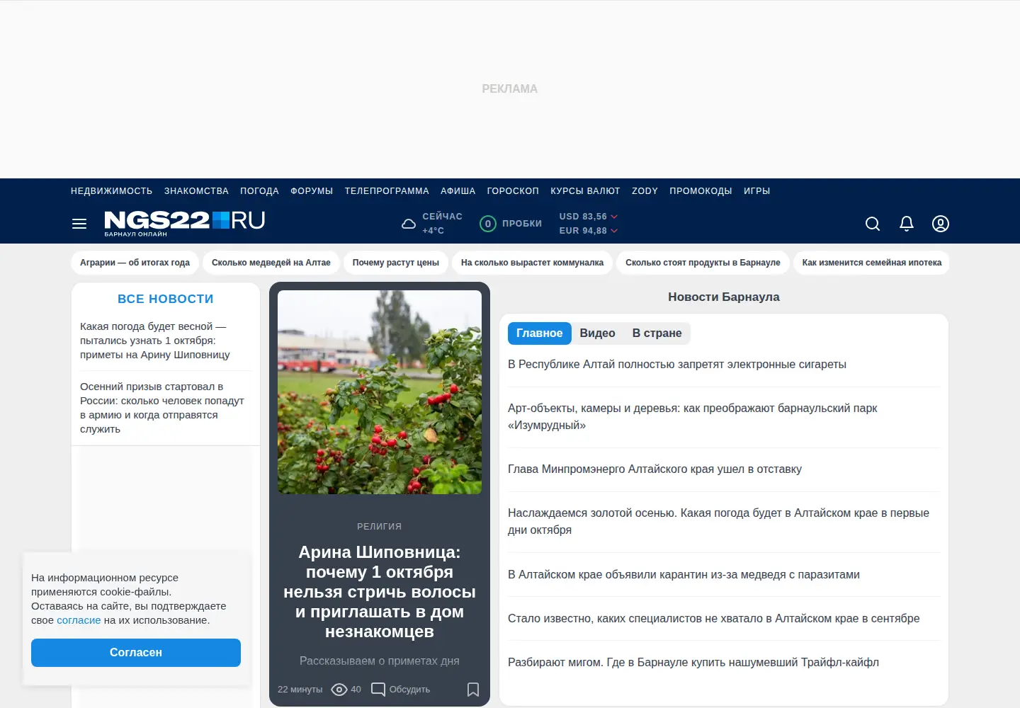Screenshot of ngs22.ru