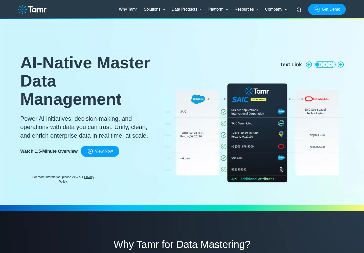 Screenshot of tamr.com