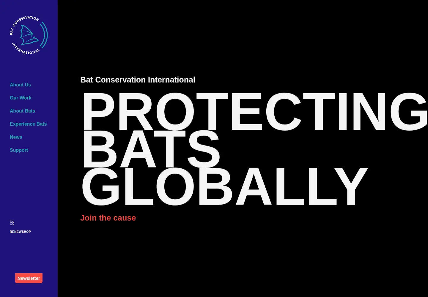 Screenshot of batcon.org