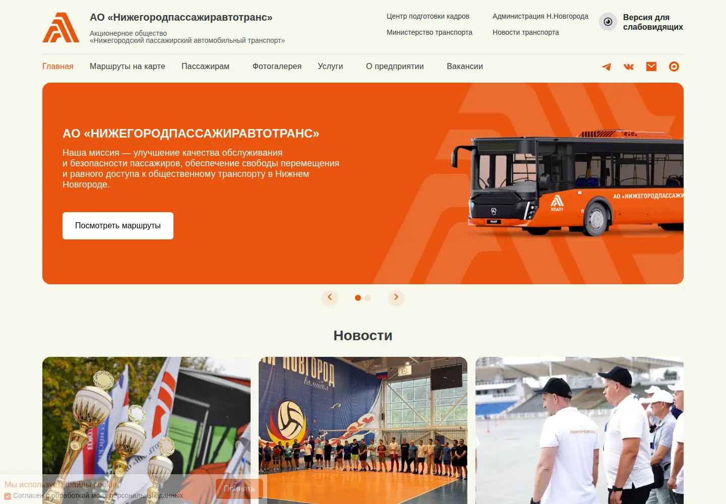 Screenshot of npat.ru