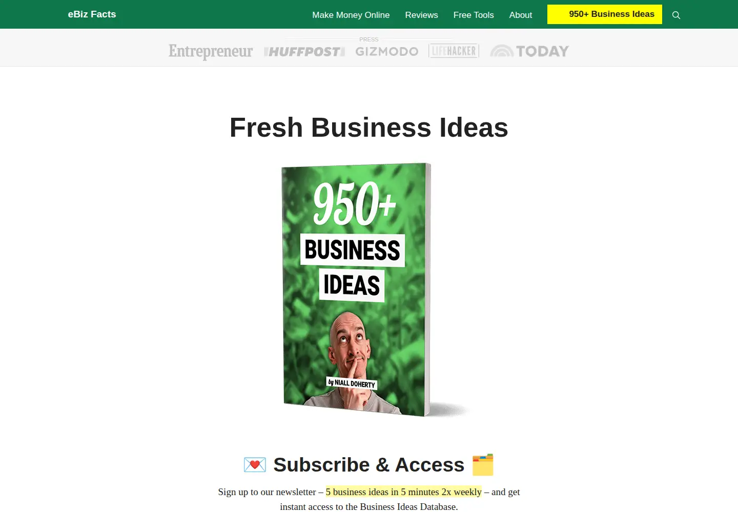 Captured homepage of ebizfacts.com in the current scan