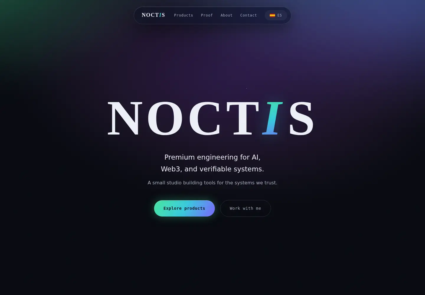 Captured homepage of noctis.biz in the current scan