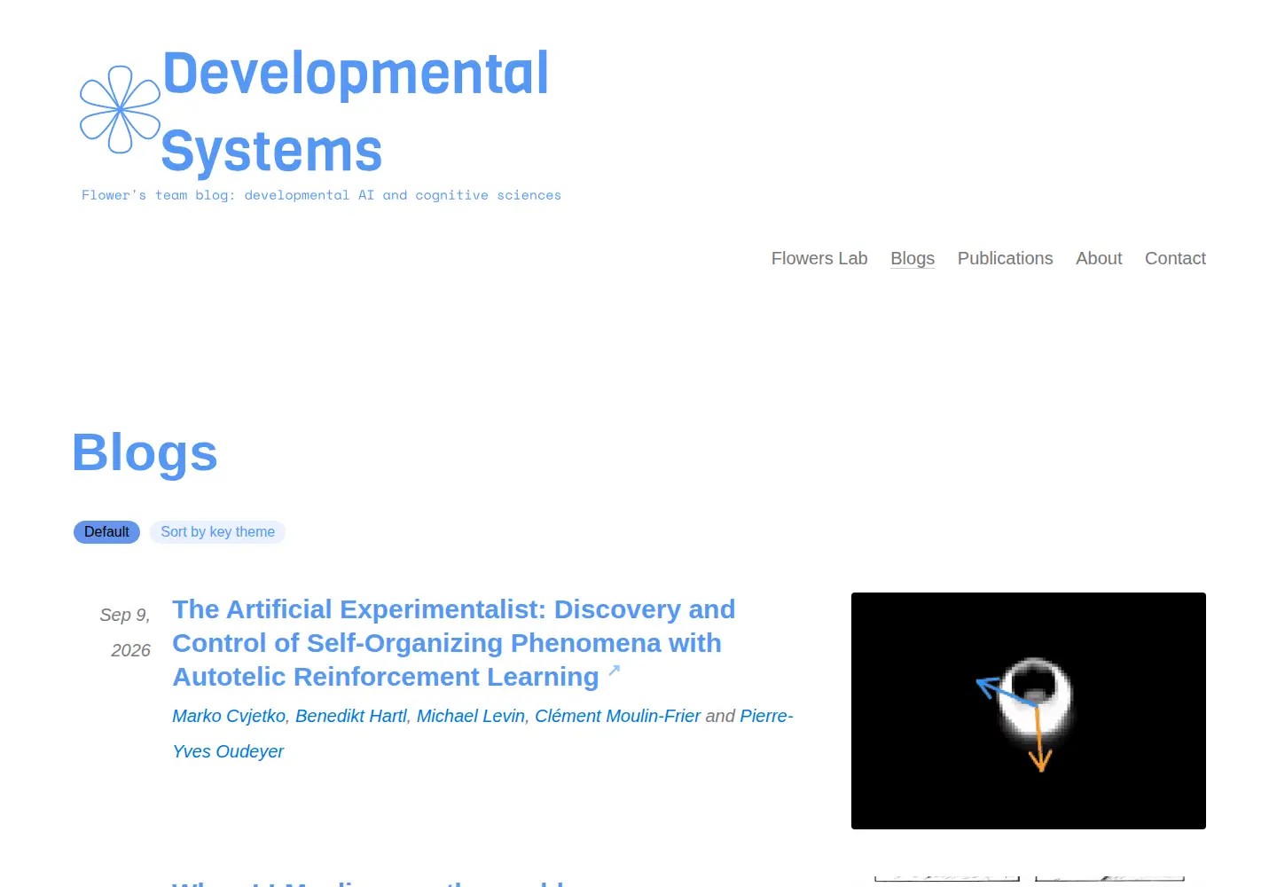 Screenshot of developmentalsystems.org