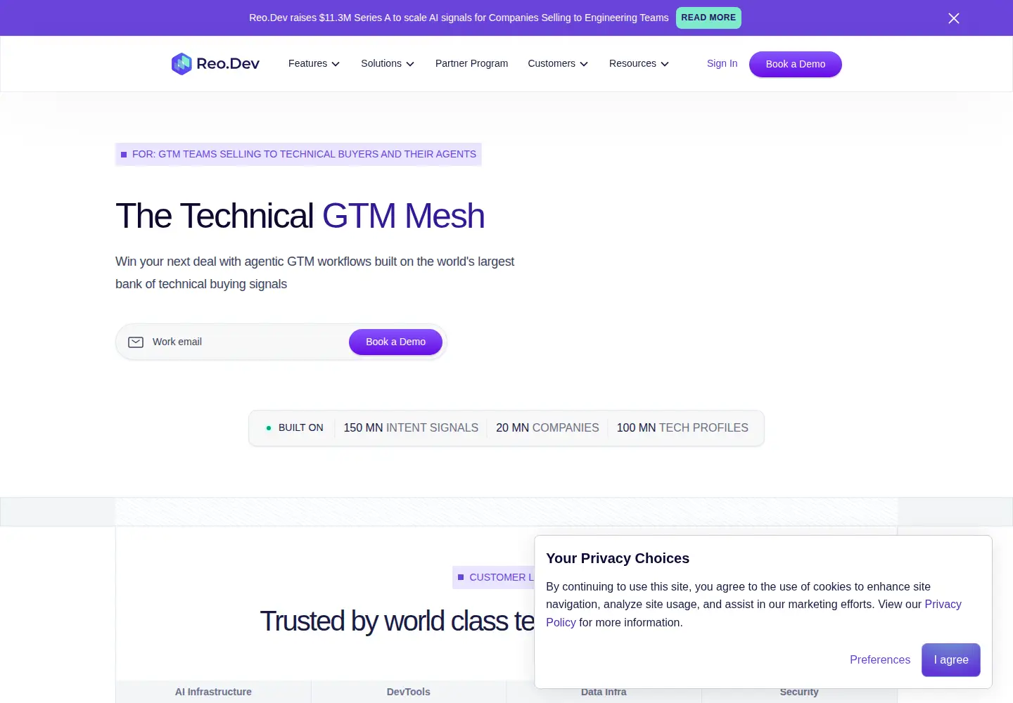 Captured homepage of reo.dev in the current scan