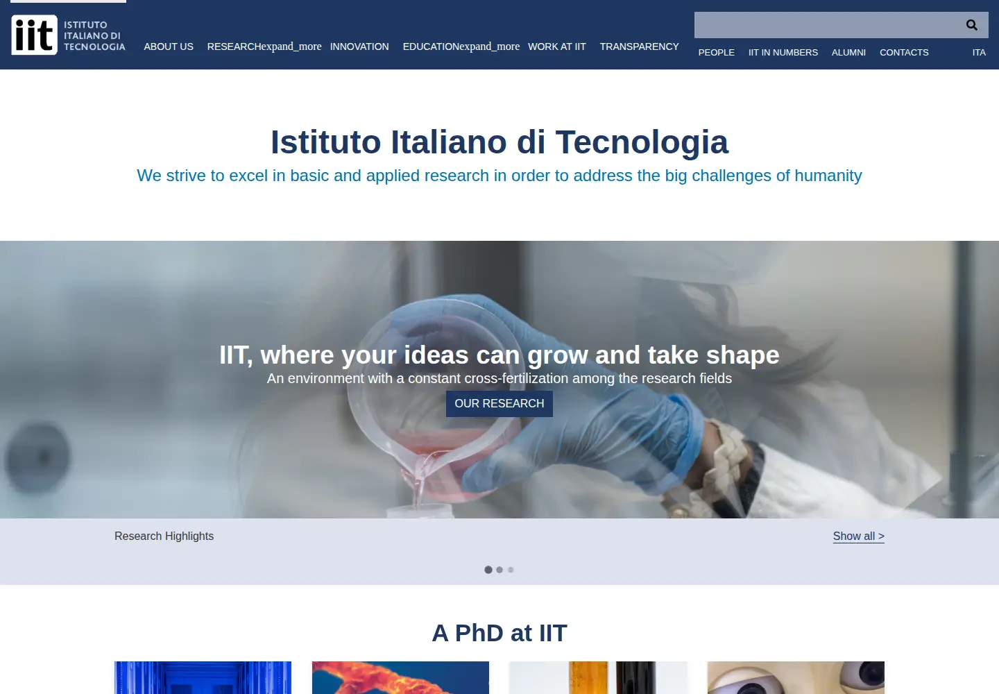 Screenshot of iit.it
