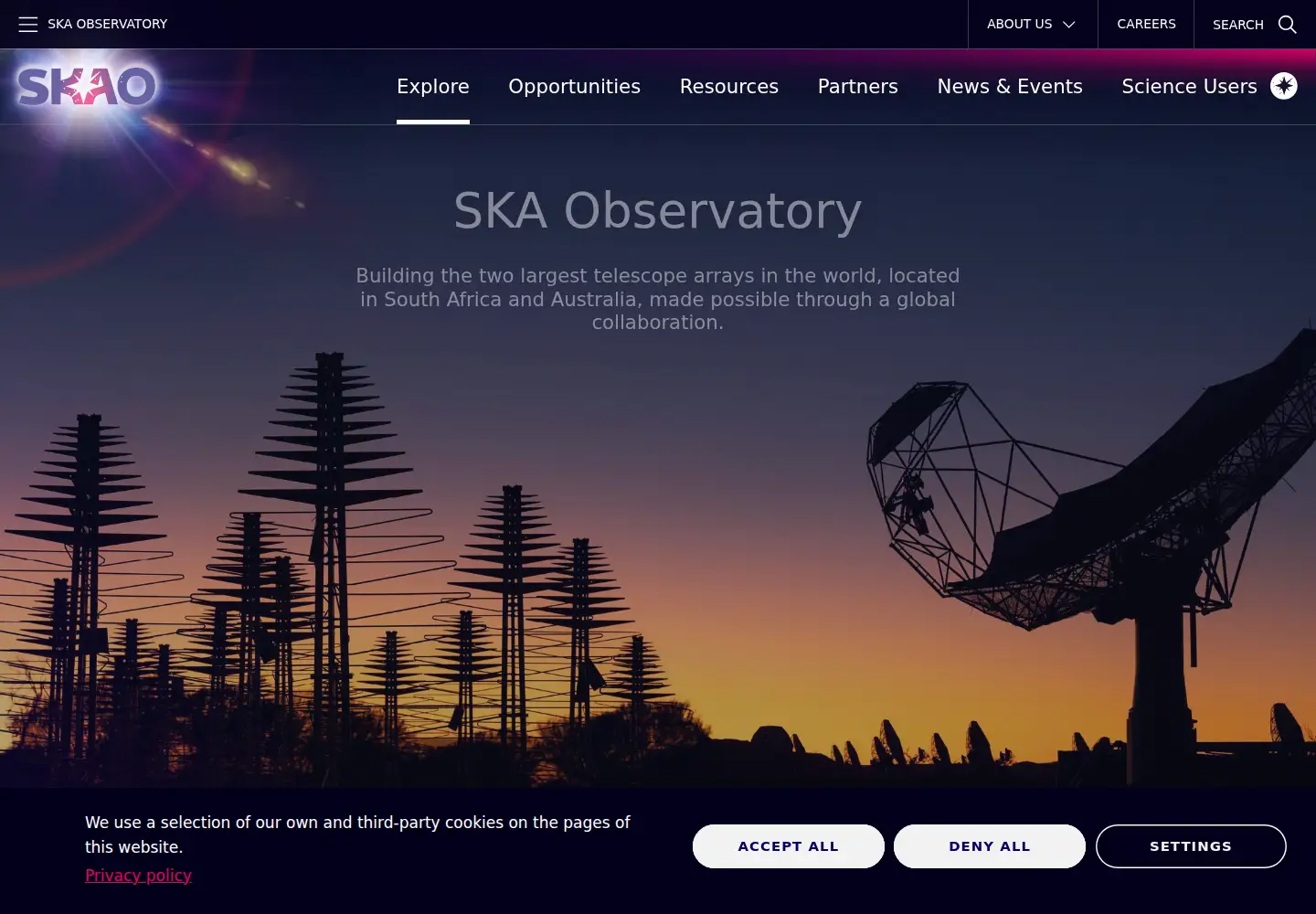 Captured homepage of skatelescope.org in the current scan
