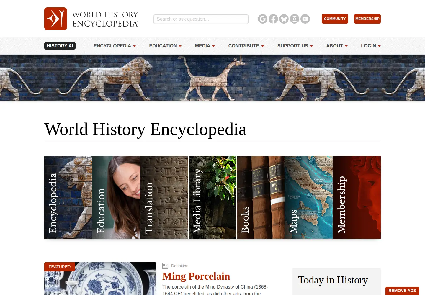 Screenshot of worldhistory.org