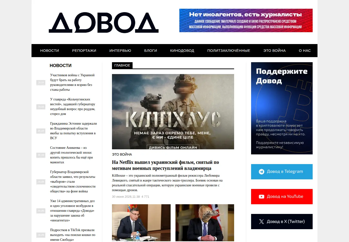 Screenshot of dovod.online