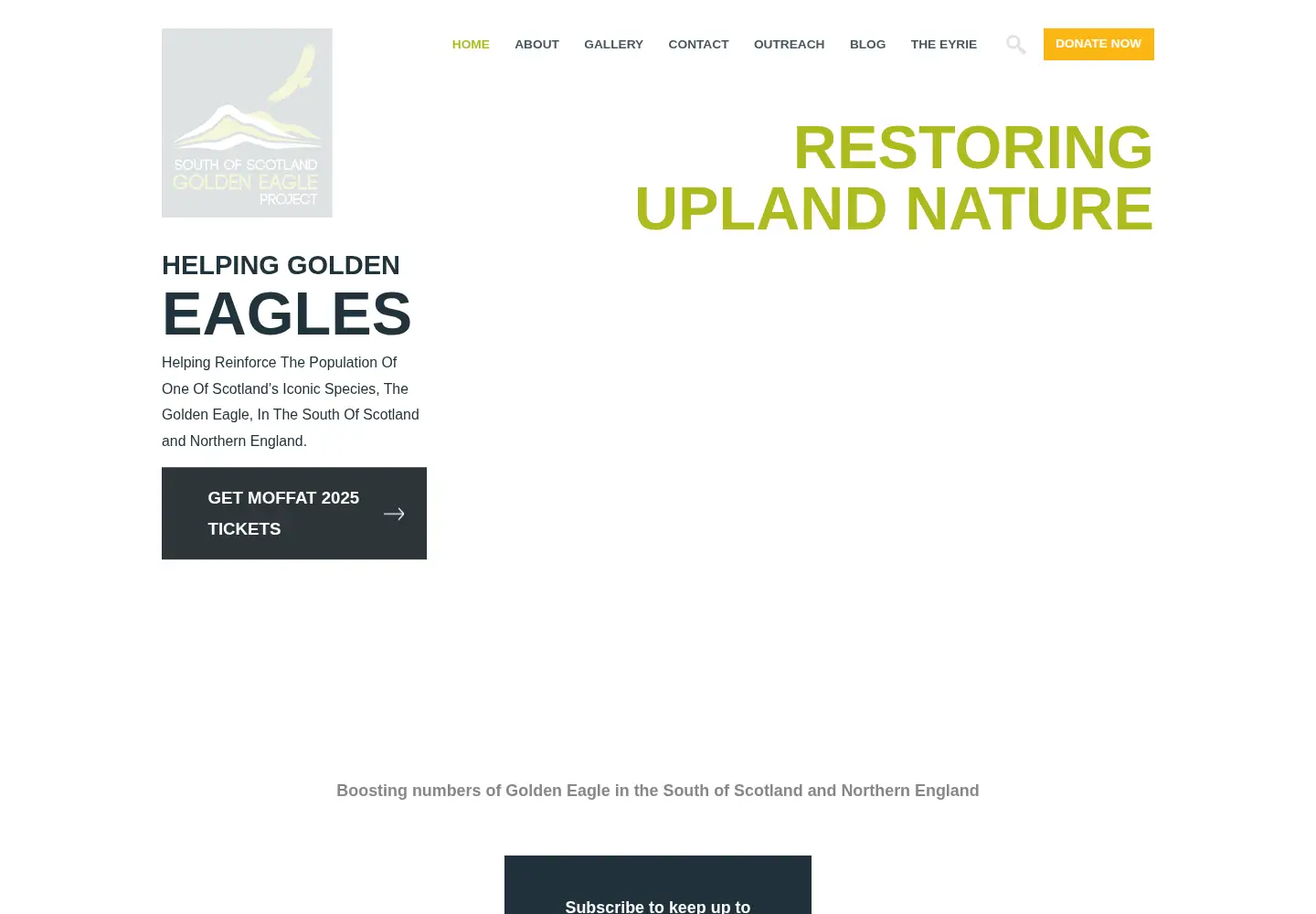 Screenshot of goldeneaglessouthofscotland.co.uk