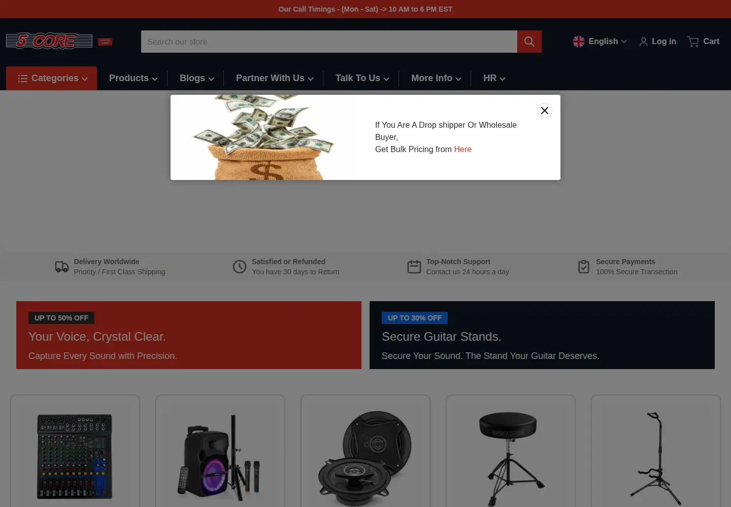 Captured homepage of 5core.com in the current scan