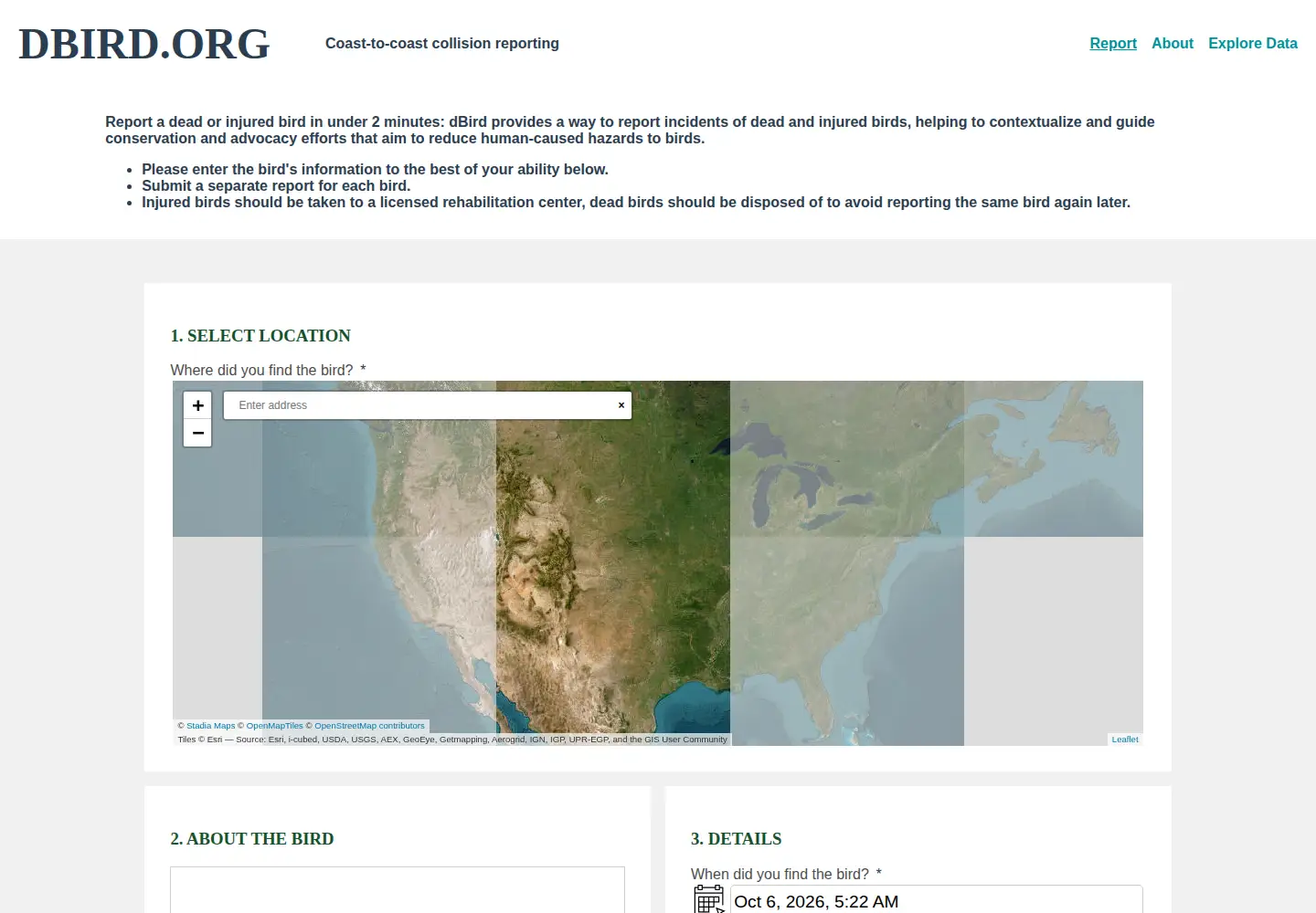 Screenshot of dbird.org