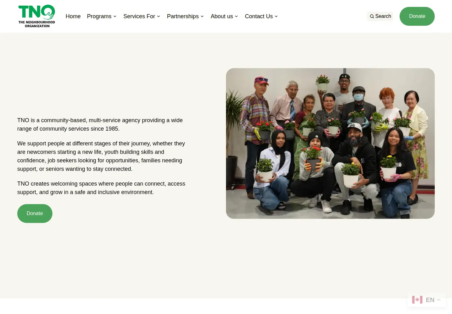 Screenshot of tno-toronto.org