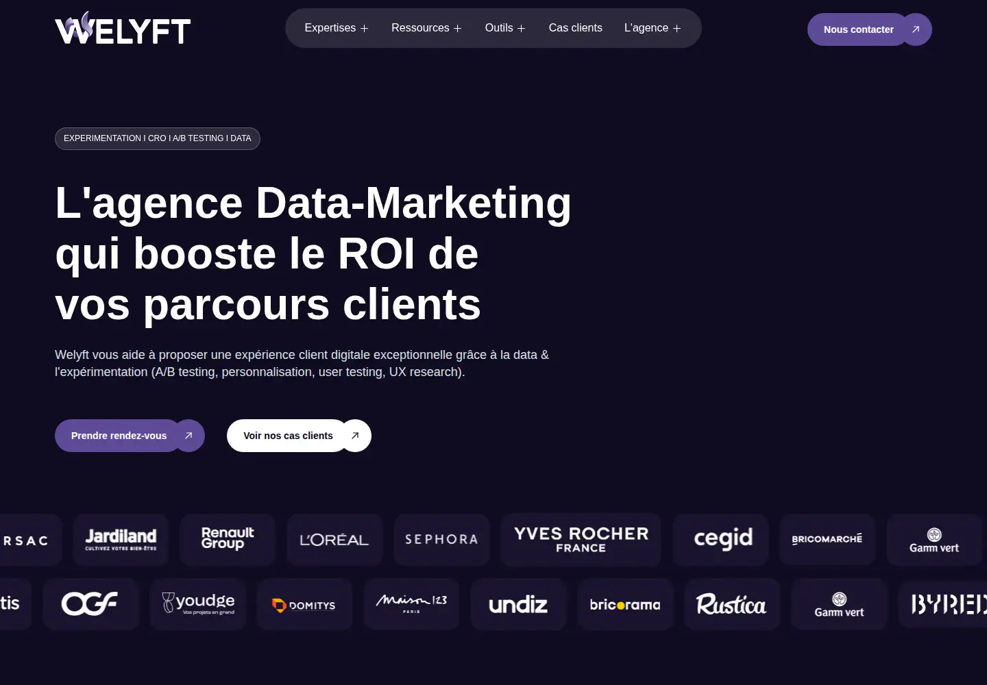 Captured homepage of welyft.com in the current scan