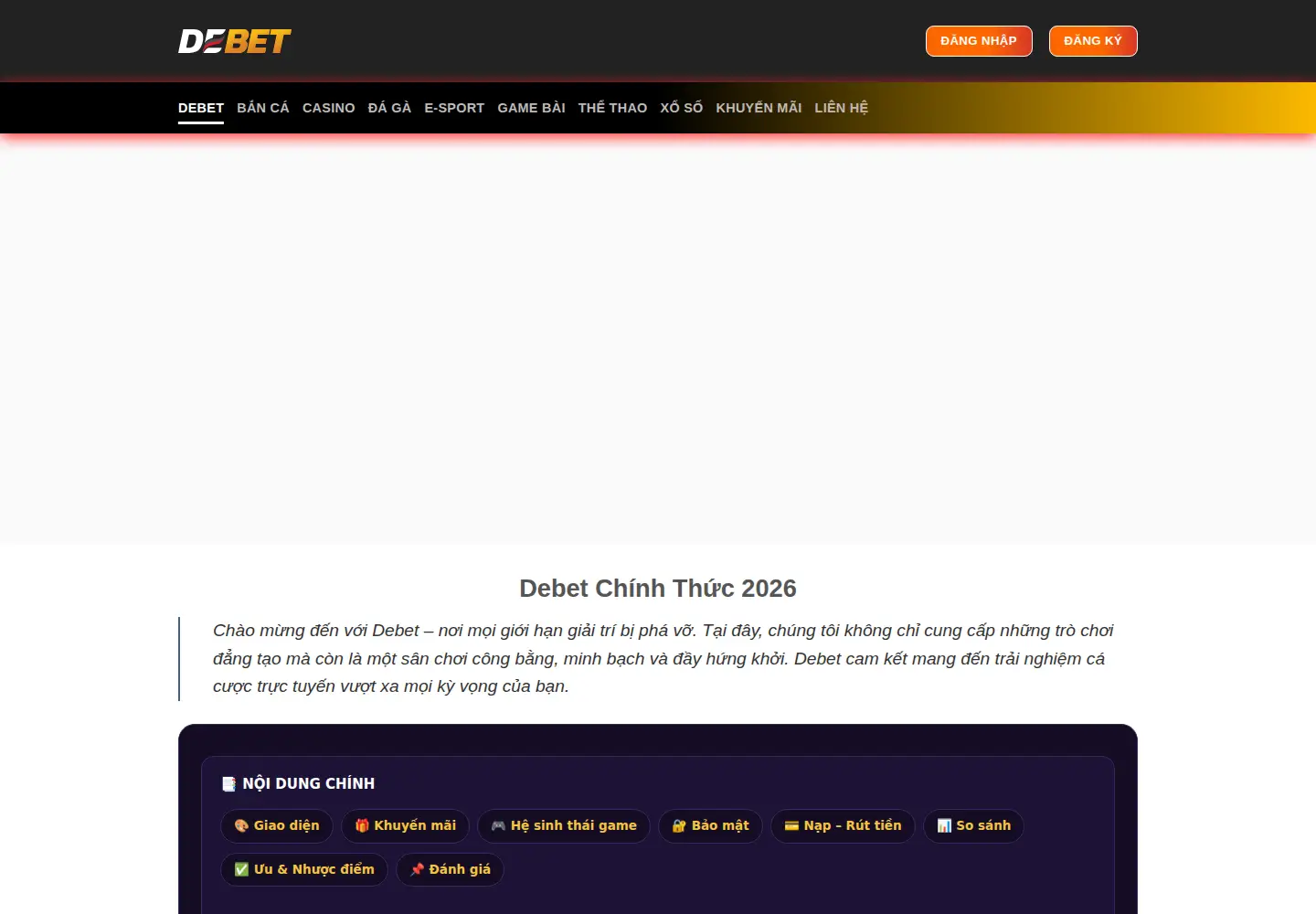 Captured homepage of debet.software in the current scan