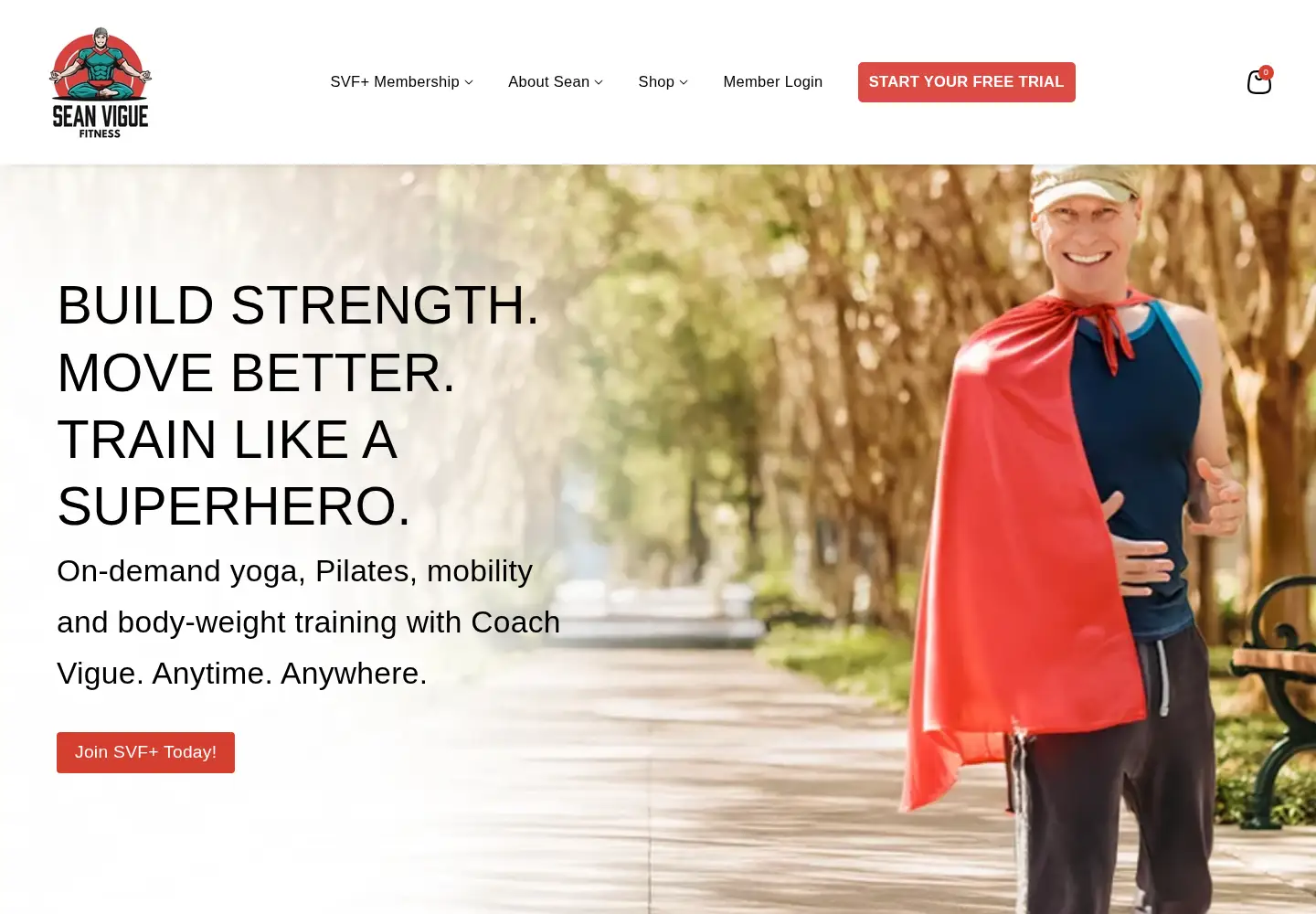 Screenshot of seanviguefitness.com