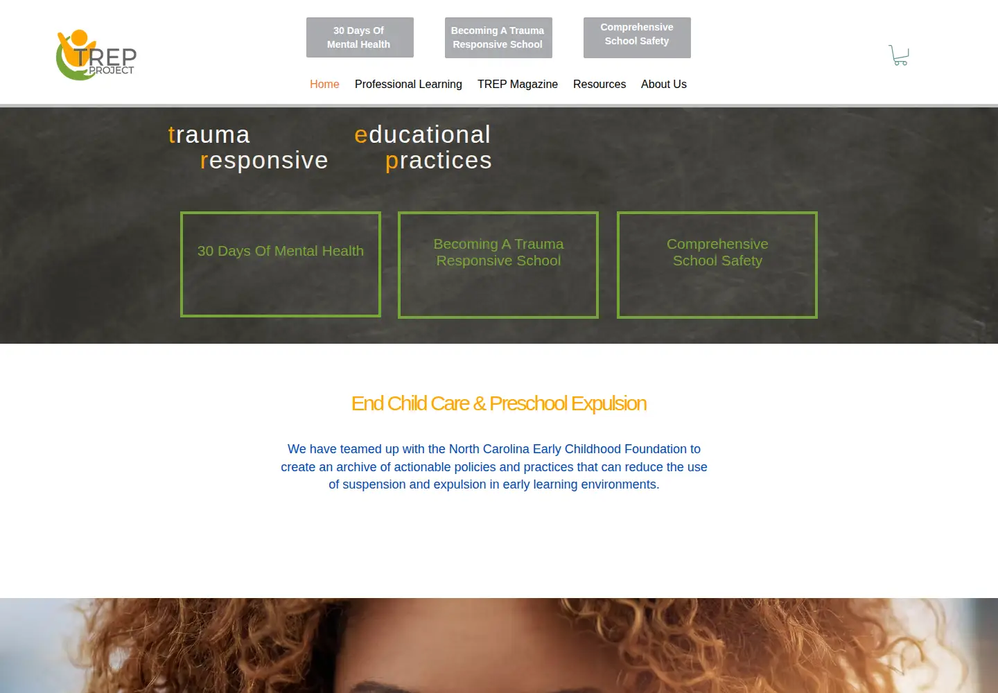 Screenshot of trepeducator.org