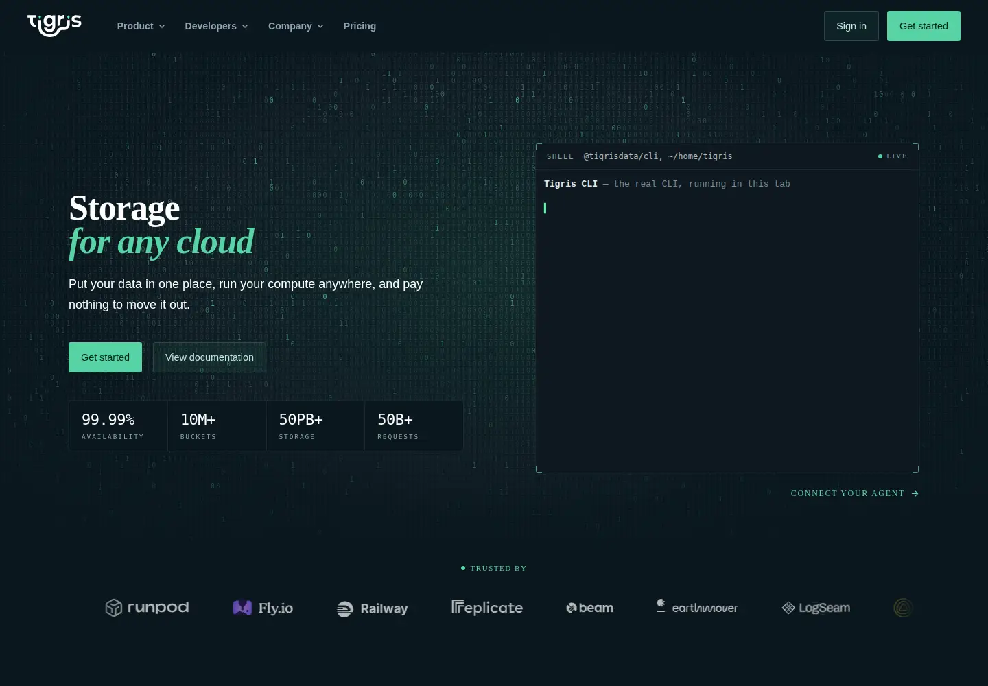 Captured homepage of tigrisfiles.io in the current scan