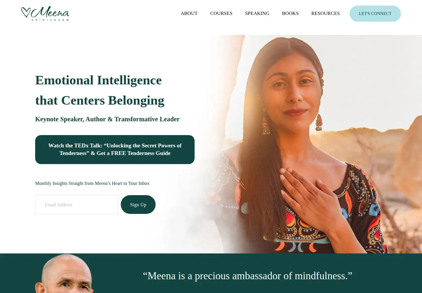 Captured homepage of meenasrinivasan.com in the current scan