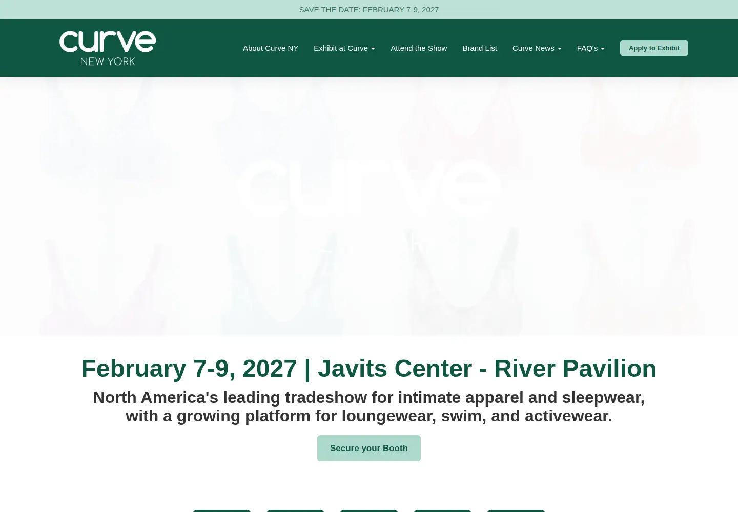 Captured homepage of curve-newyork.com in the current scan