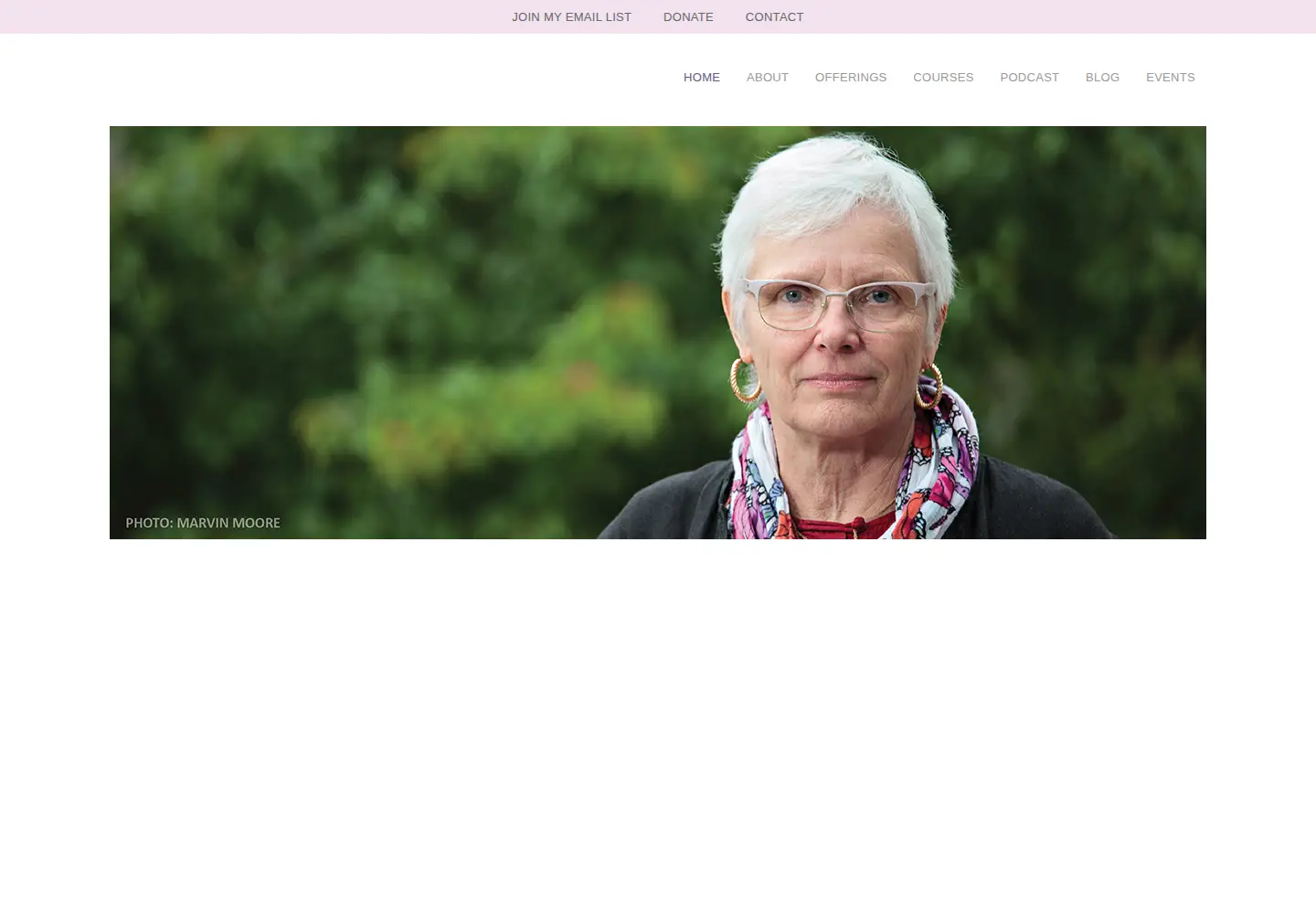Captured homepage of judylief.com in the current scan