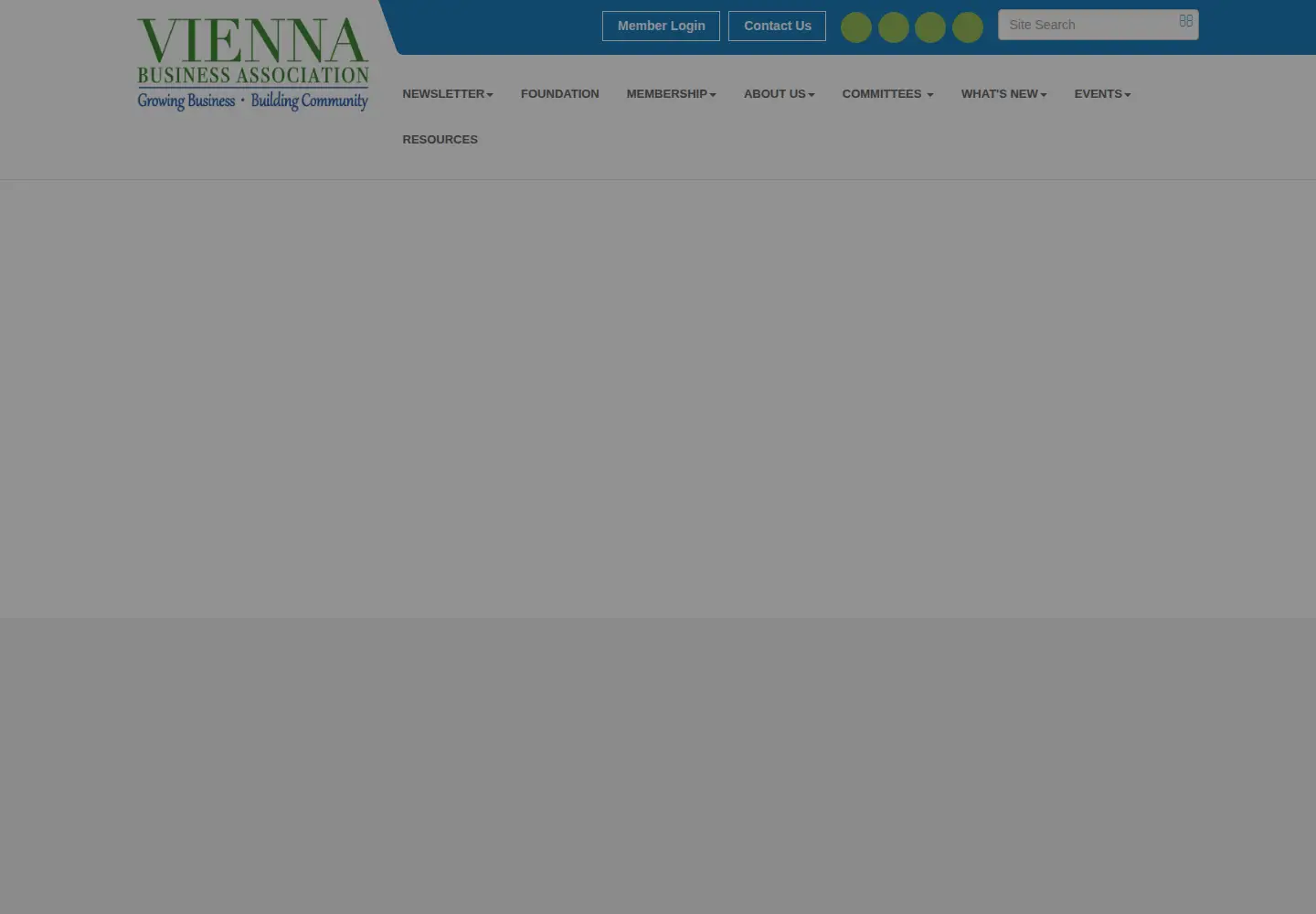 Captured homepage of viennabusiness.org in the current scan