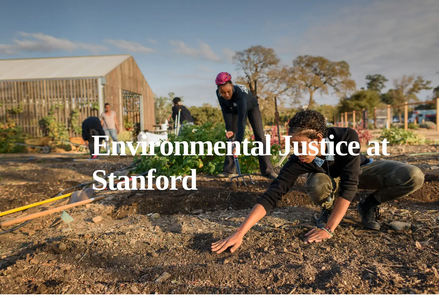 Screenshot of ejstanford.com
