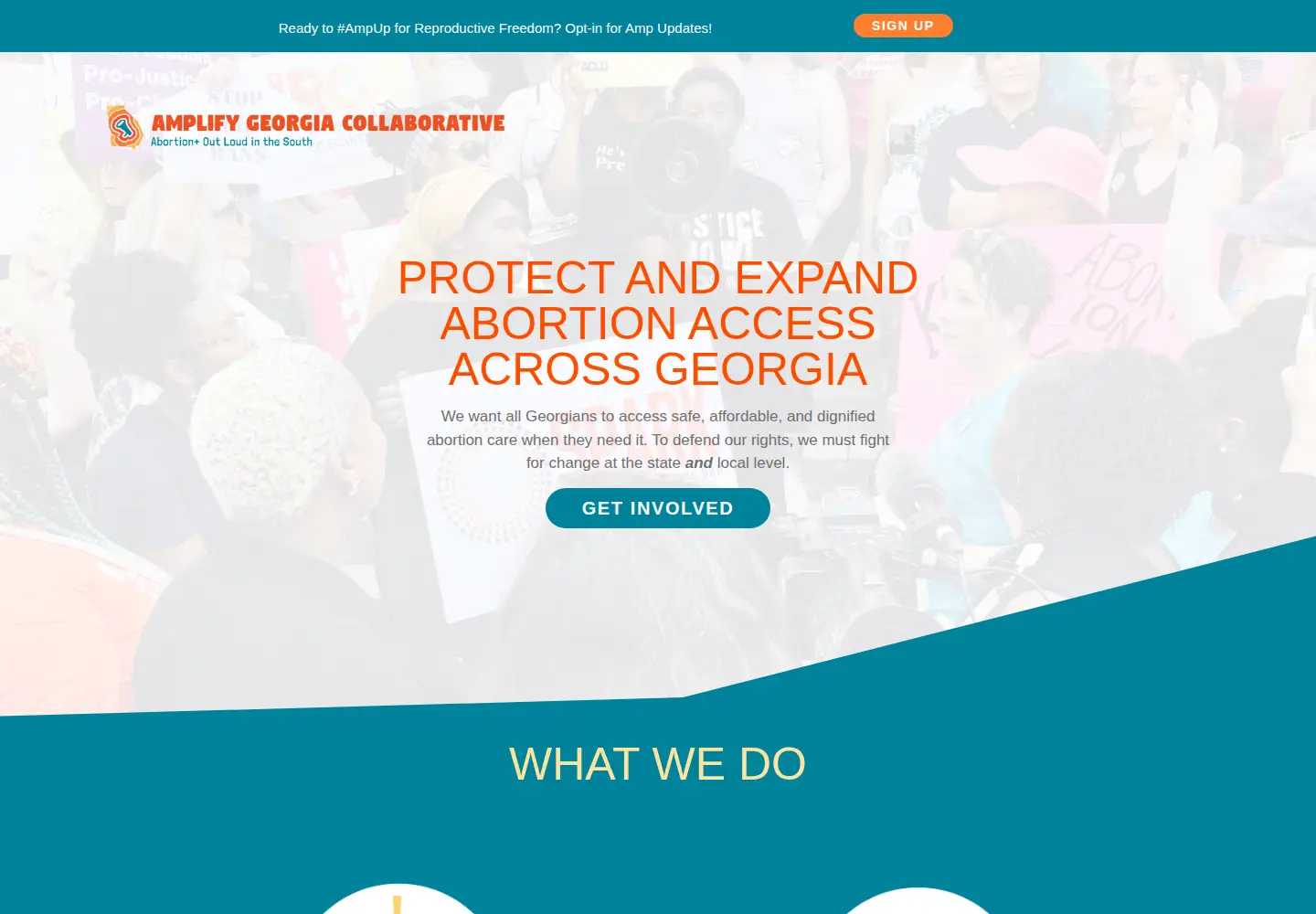Captured homepage of amplify-ga.org in the current scan