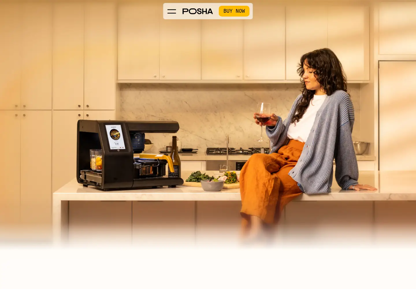 Captured homepage of posha.com in the current scan