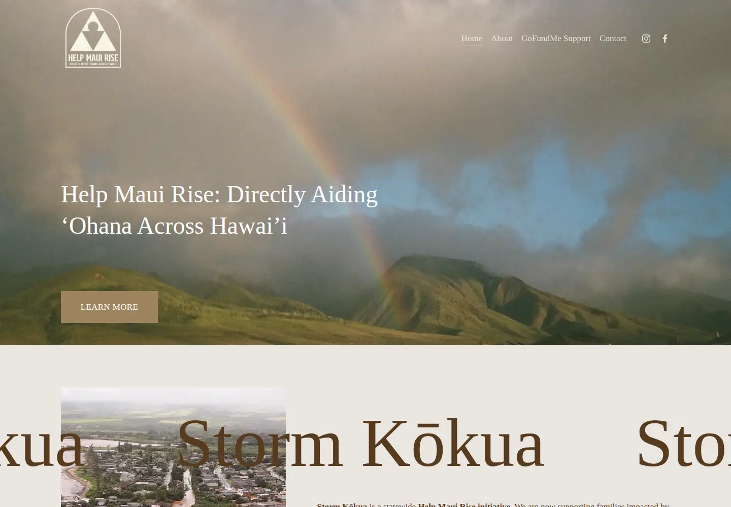 Captured homepage of helpmauirise.org in the current scan