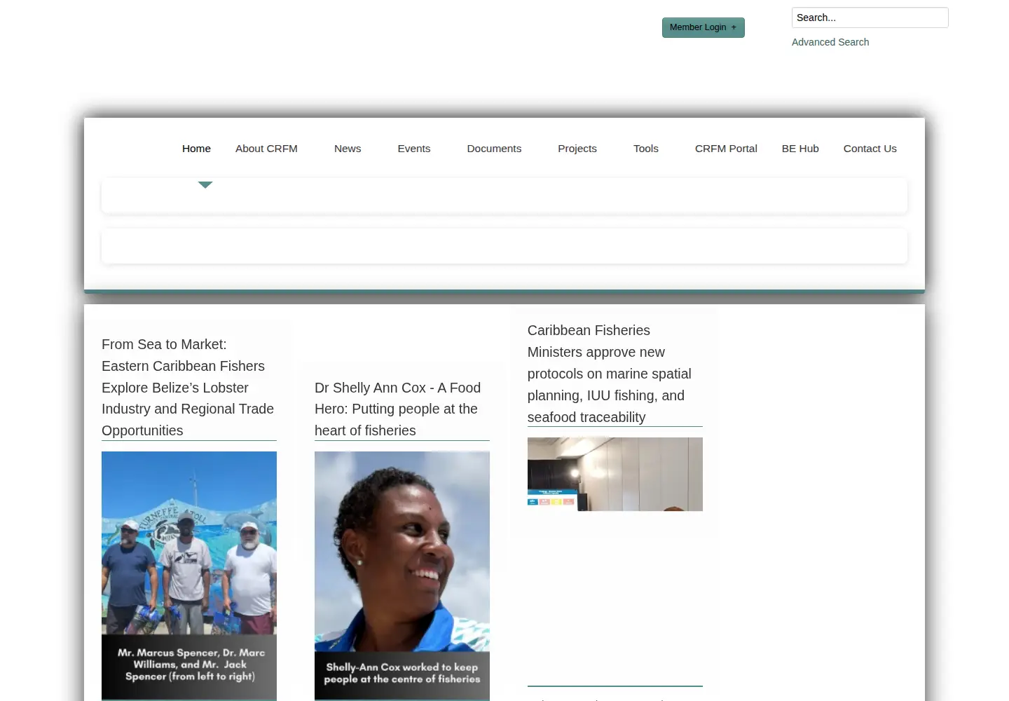 Screenshot of crfm.int
