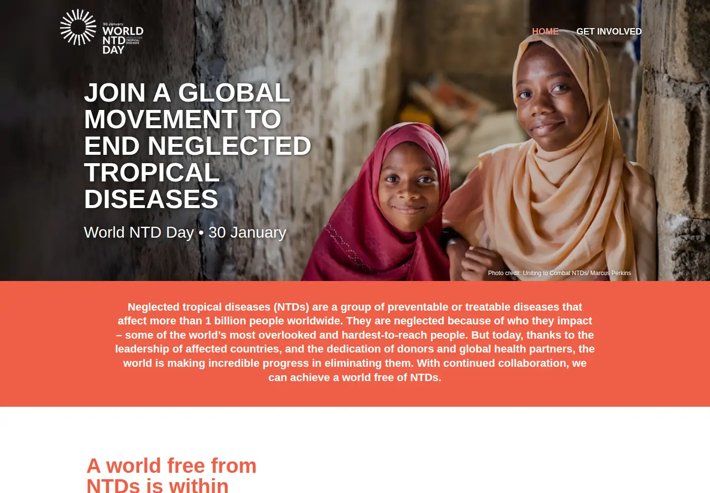 Screenshot of worldntdday.org
