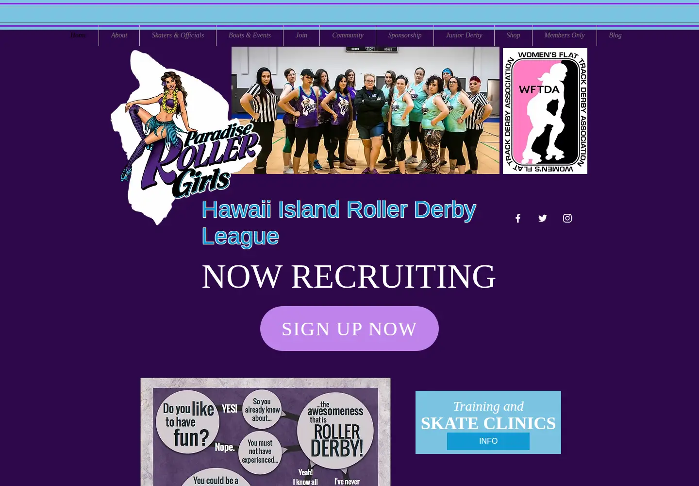Screenshot of paradiserollergirls.com
