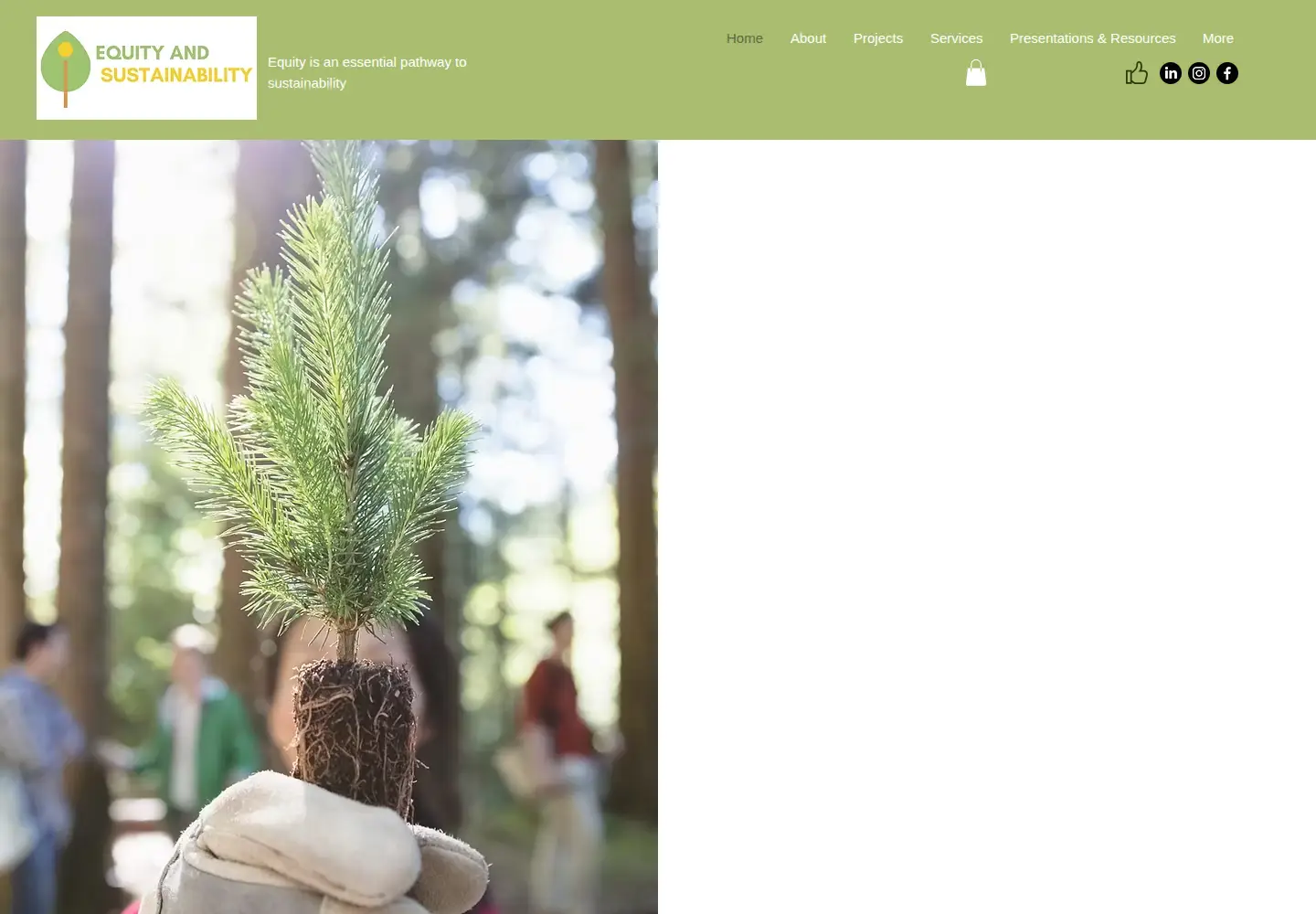 Screenshot of equityandsustainability.com