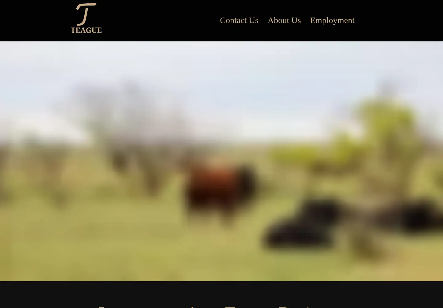 Captured homepage of teaguecattle.com in the current scan