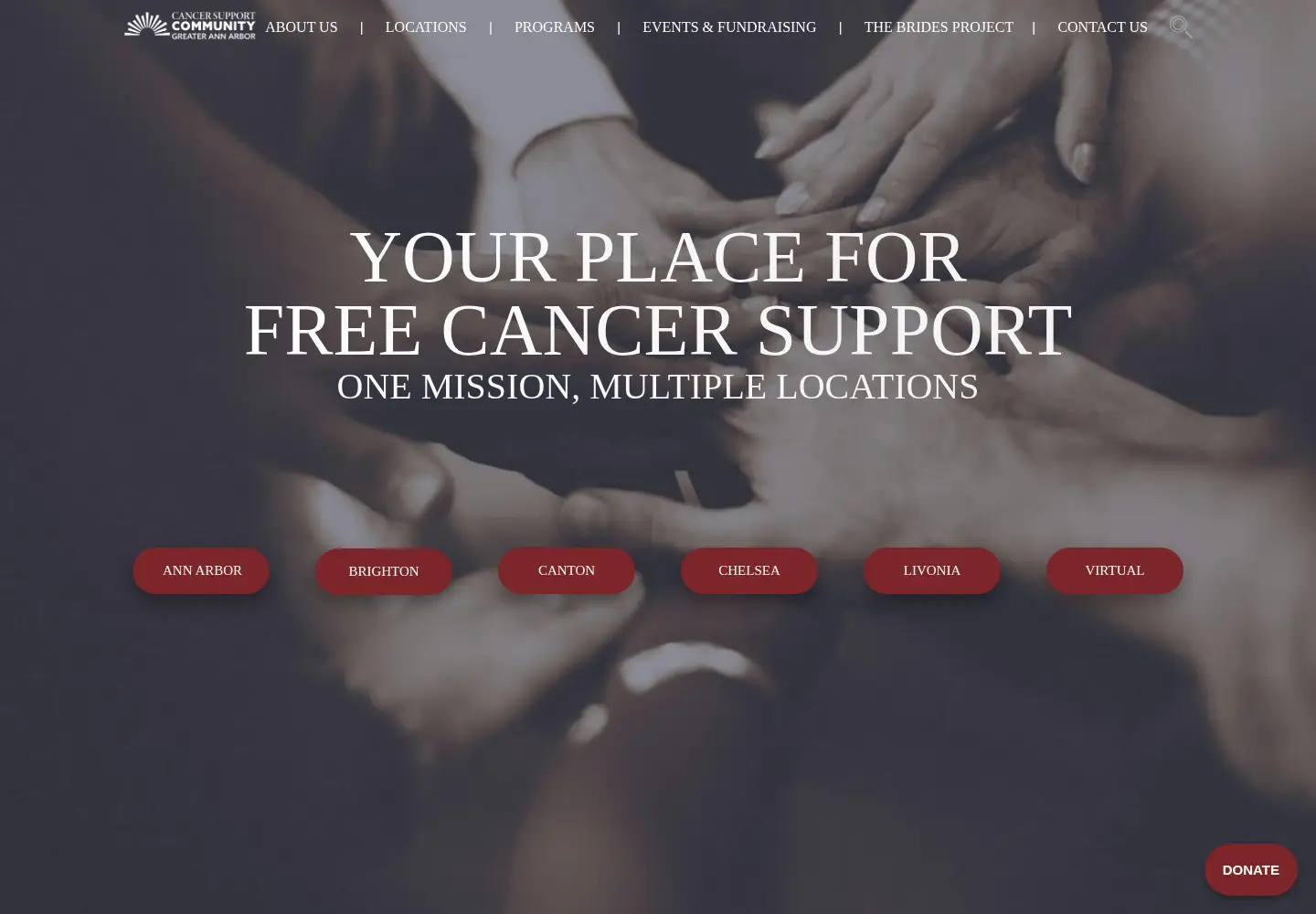 Captured homepage of cancersupportannarbor.org in the current scan