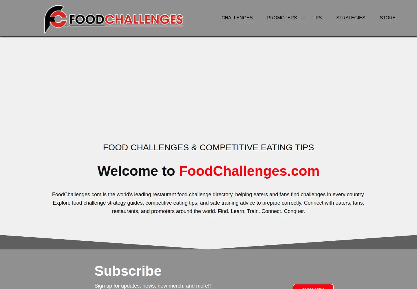 Captured homepage of foodchallenges.com in the current scan