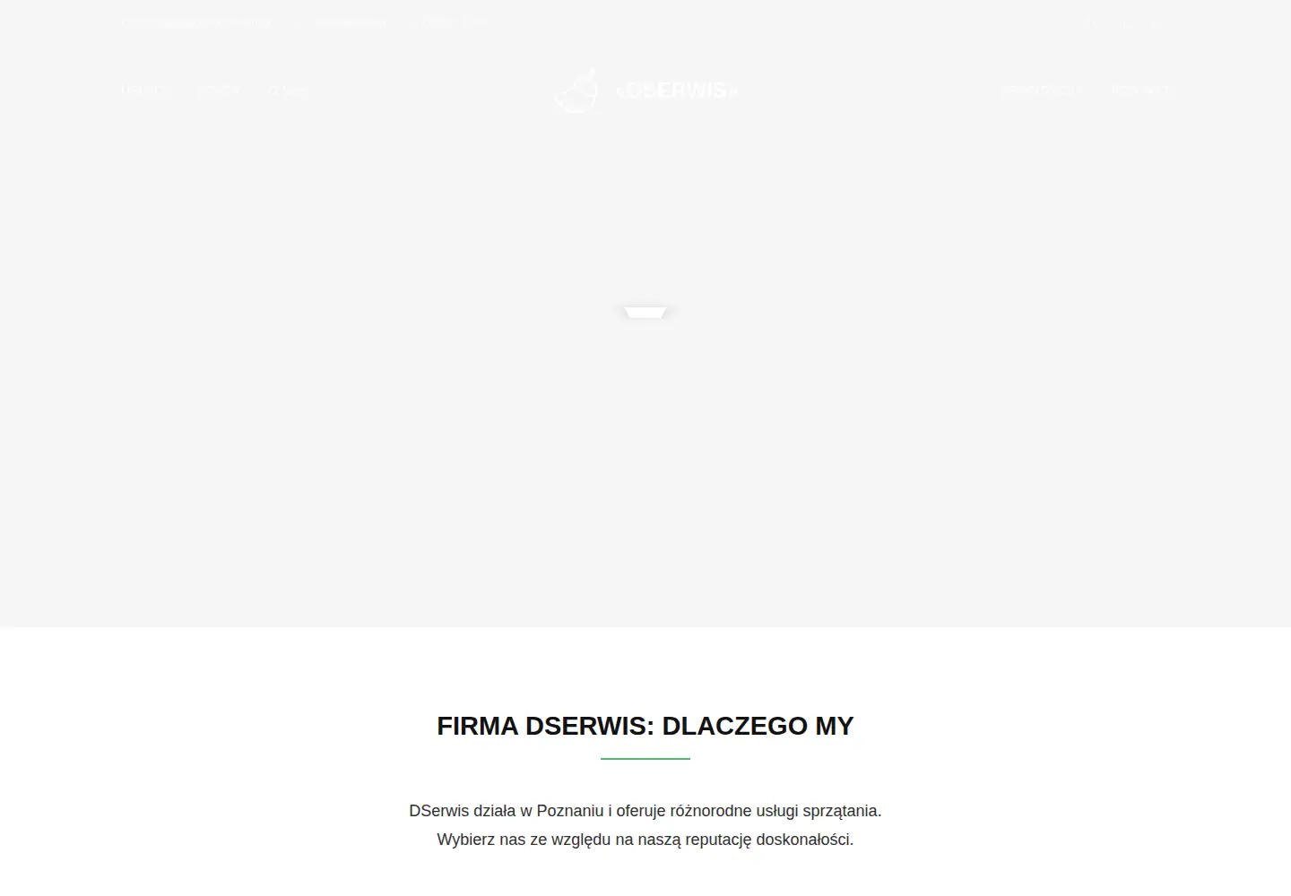 Screenshot of dublis.pl