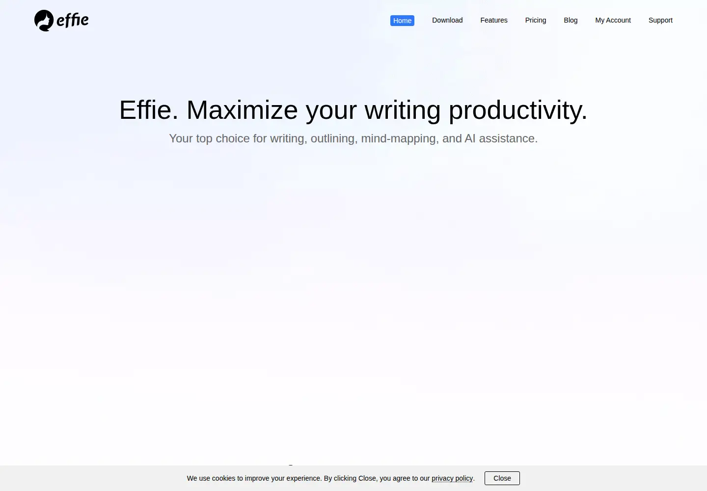 Captured homepage of effie.pro in the current scan
