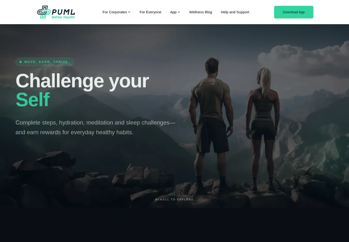 Captured homepage of puml.io in the current scan