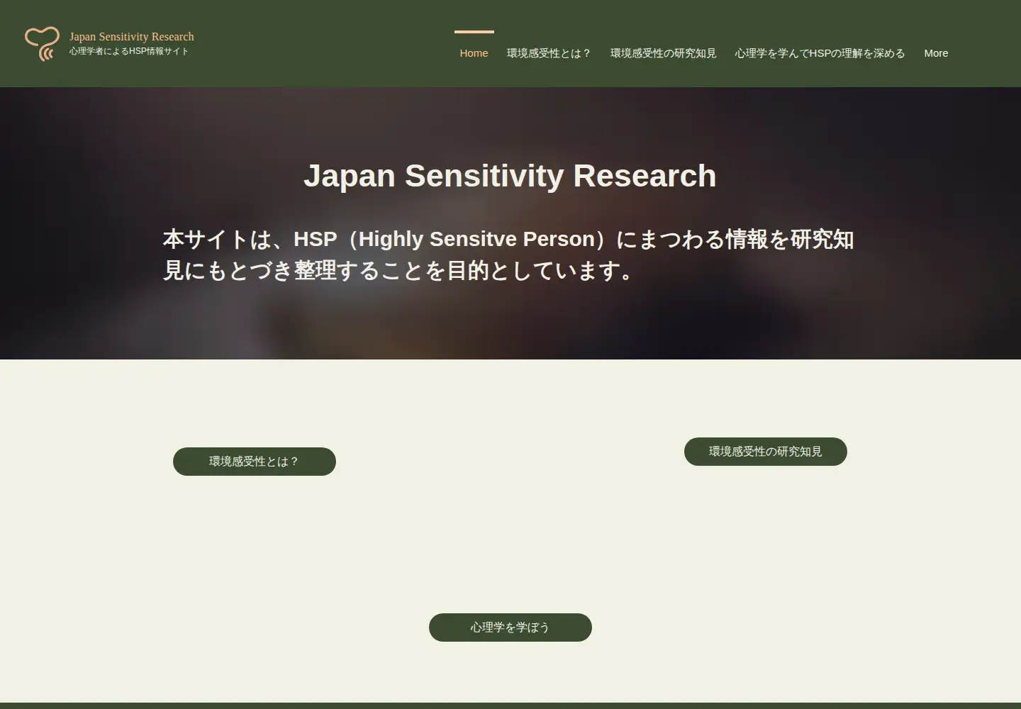 Captured homepage of japansensitivityresearch.com in the current scan
